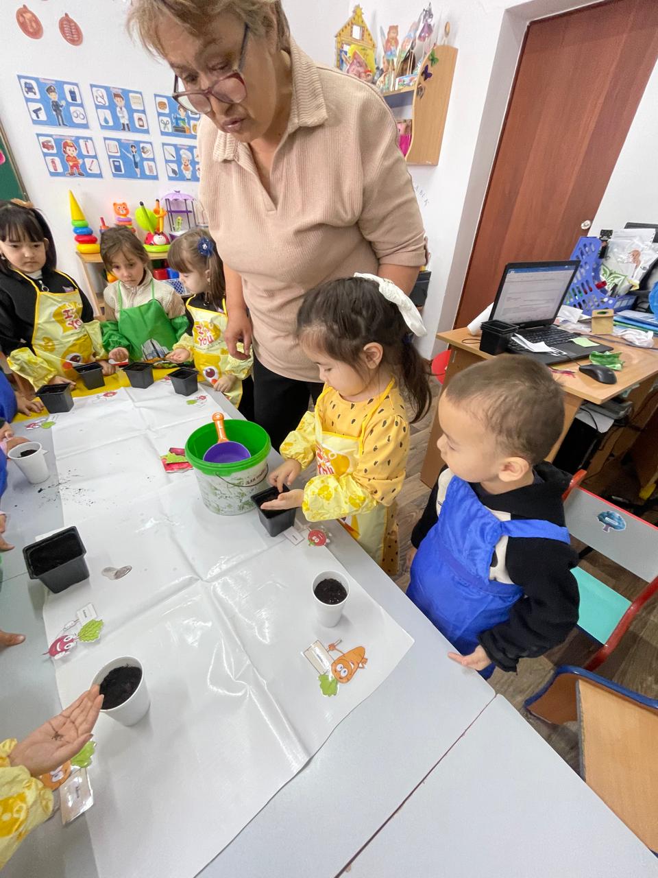 WhatsApp Image 2026 02 17 at 16.15.55