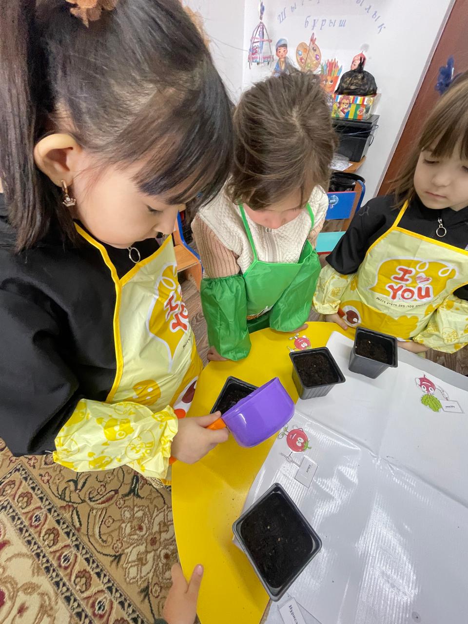 WhatsApp Image 2026 02 17 at 16.15.55 2