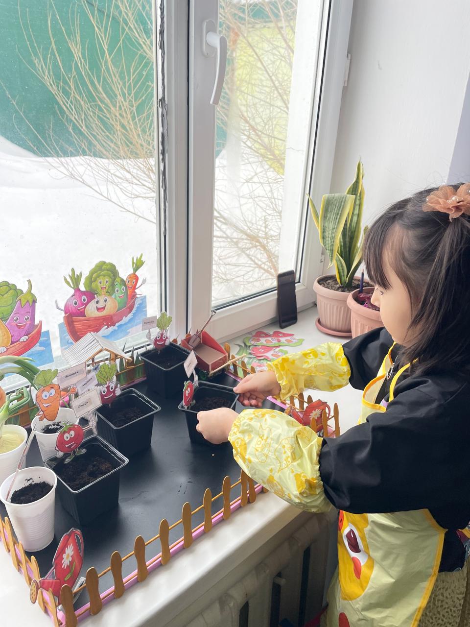 WhatsApp Image 2026 02 17 at 16.15.56 1