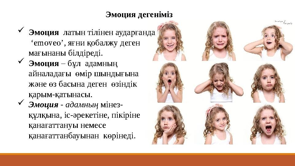 Изображение WhatsApp 2025 03 03 в 09.27.07 7089a7af