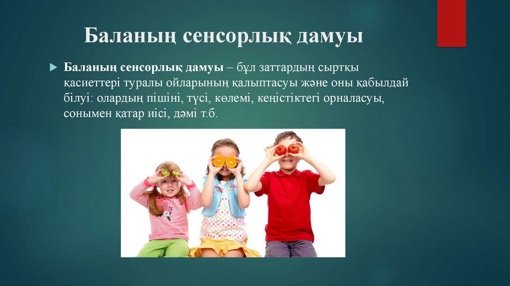 Изображение WhatsApp 2025 03 05 в 14.20.27 d703d060