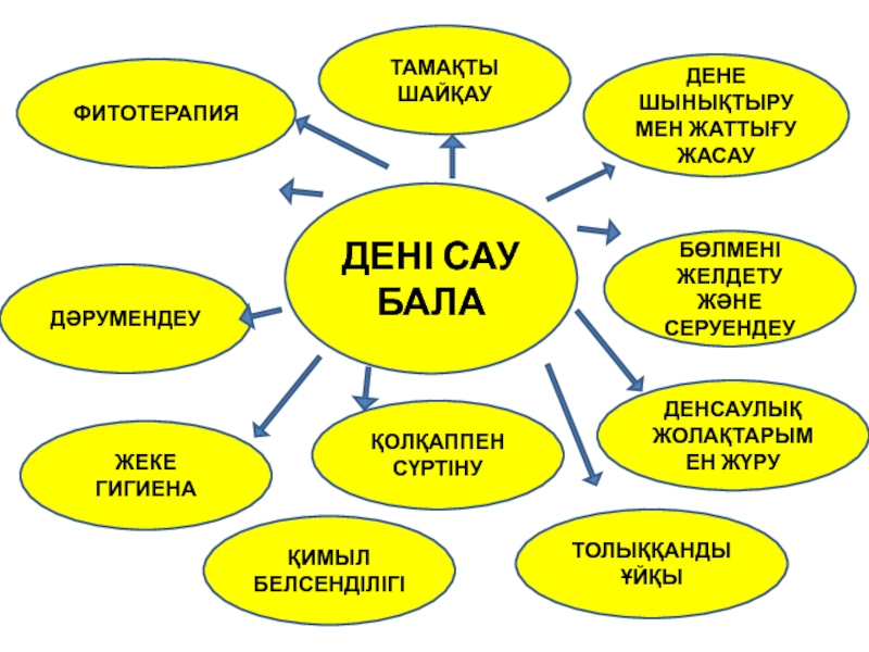 Изображение WhatsApp 2025 03 05 в 14.38.58 f9b25832
